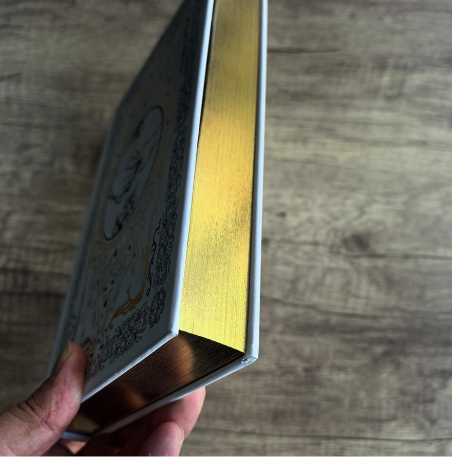 Voorrandbehandelingen Book Limited Run gespoten randen Nieuwe boek
